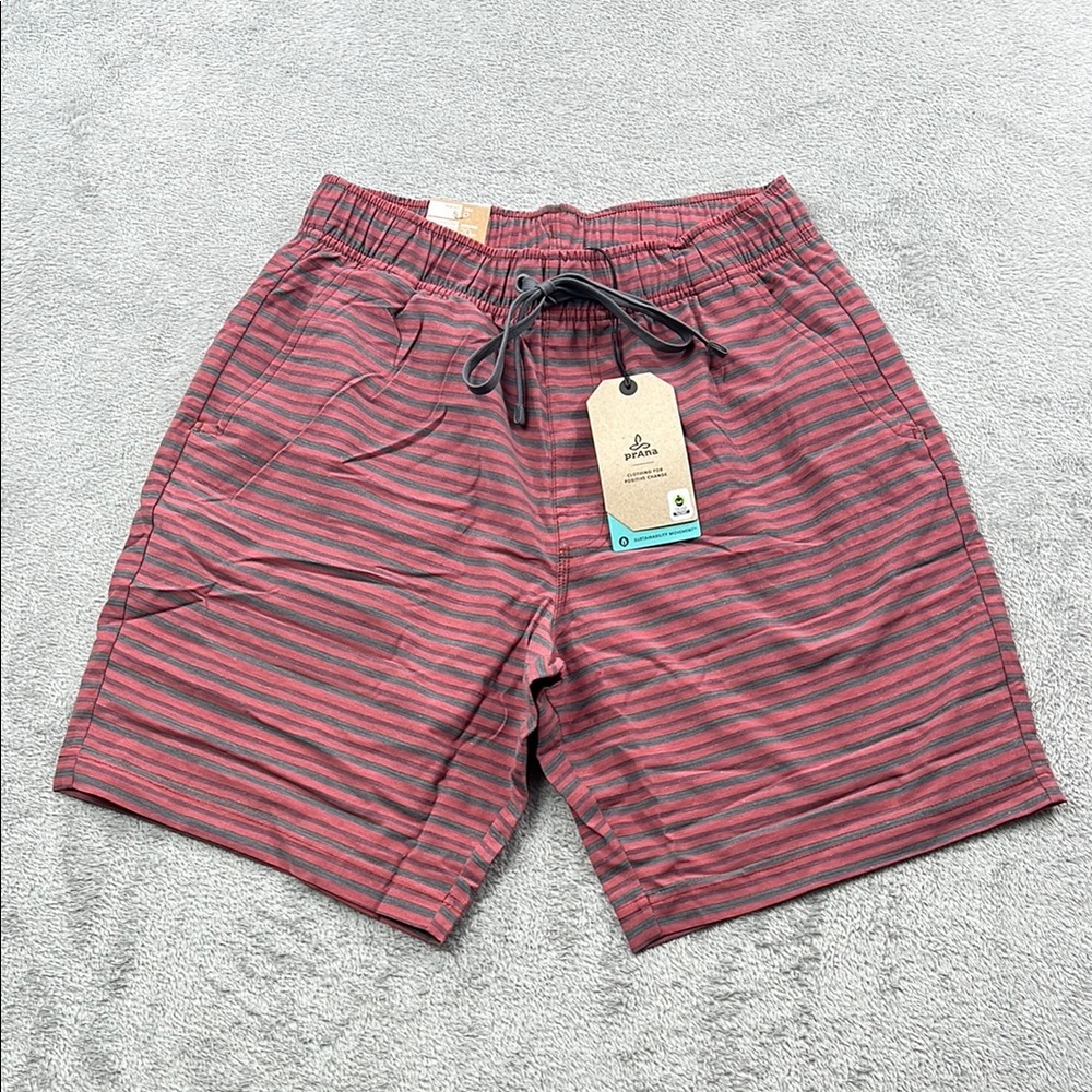 NEW Prana S Metric E-Waist Short Rust Stripe Men's Striped Red Shorts‎